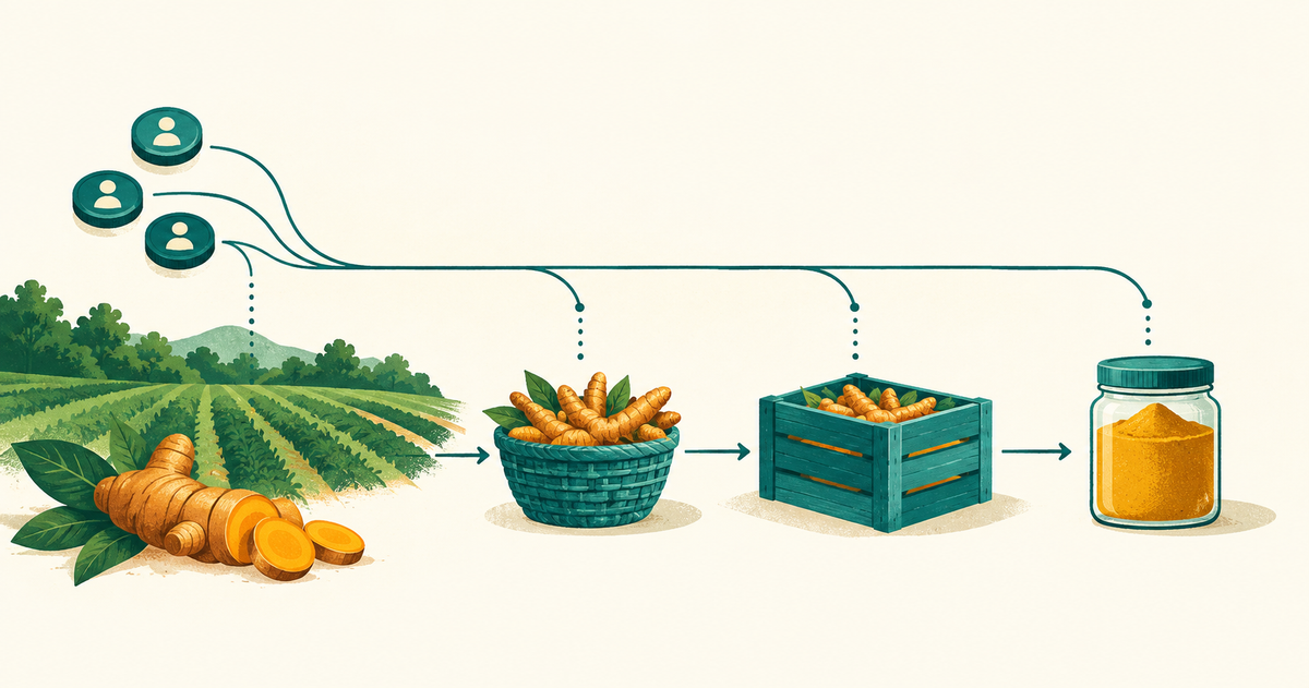 Turmeric moves from a farm through harvest basket and crate into an unlabeled spice jar as advance orders align above.